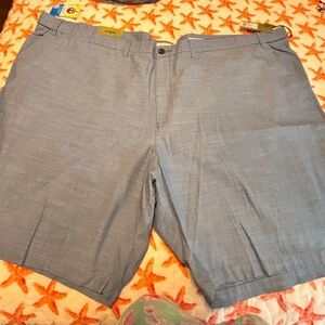 Goodfellow & Co Sky Blue Men's Flat Front Shorts